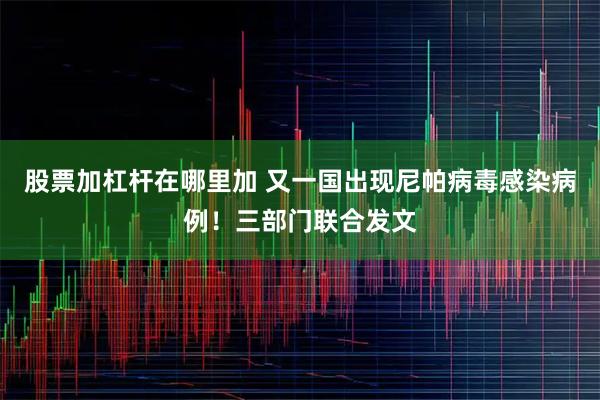 股票加杠杆在哪里加 又一国出现尼帕病毒感染病例！三部门联合发文