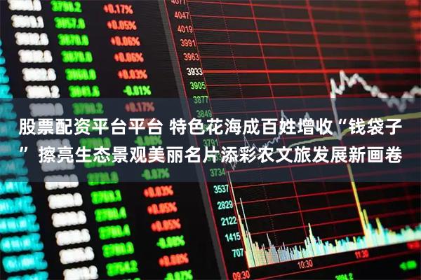 股票配资平台平台 特色花海成百姓增收“钱袋子” 擦亮生态景观美丽名片添彩农文旅发展新画卷