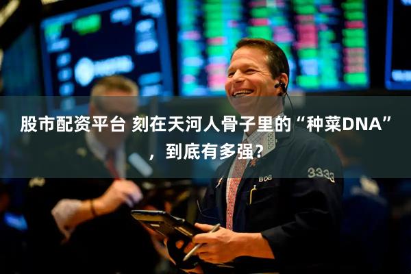 股市配资平台 刻在天河人骨子里的“种菜DNA”，到底有多强？