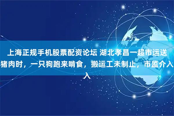 上海正规手机股票配资论坛 湖北孝昌一超市运送猪肉时，一只狗跑来啃食，搬运工未制止，市监介入